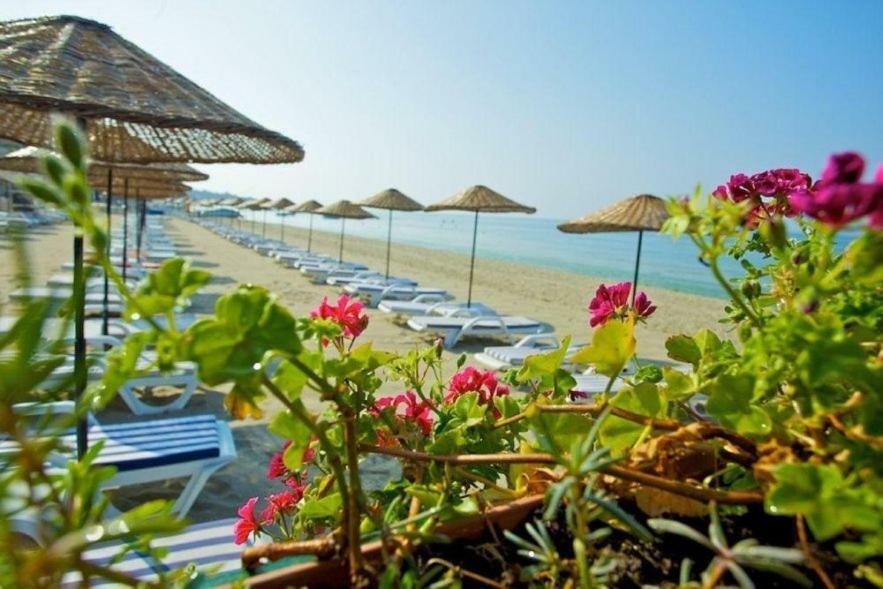 Diamond City Resort Hotel Бююкчекмедже Экстерьер фото